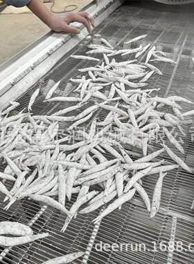 丁鱼滚筒裹粉机 炸鱼1块上浆上粉粉机器 料循环使用 500得尔润沙k
