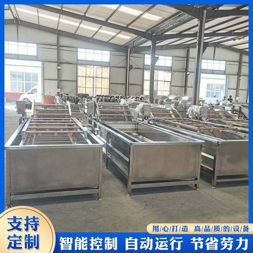 6500型蔬菜气泡清洗机水果清洗设备304不锈钢板材机械
