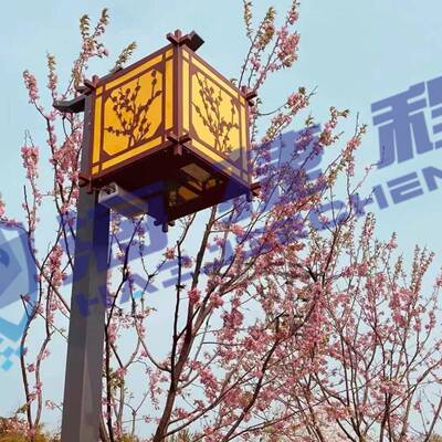 特防殊定制HW-01户外投机灯笼款风冷箱恒温影恒箱三湿柜防雨防尘
