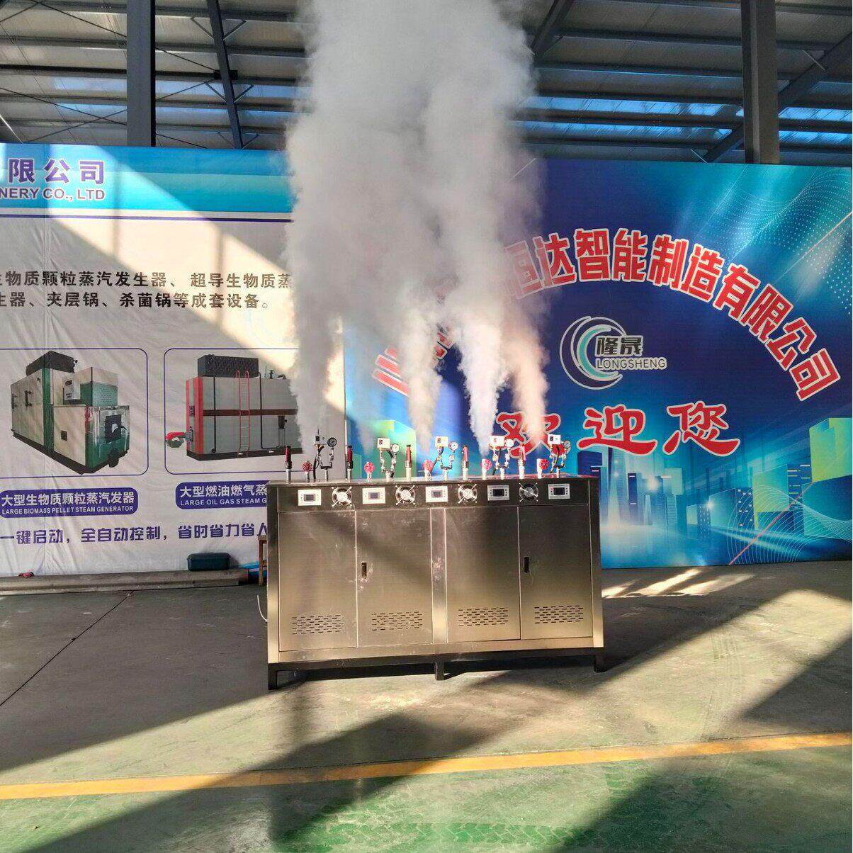 复合大型电加热灭菌蒸汽发生器桥梁养护蒸汽设备土豆片烘干热源