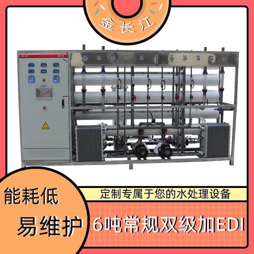 6吨t常规ro双级EDI超纯水水驻极电驻极/熔喷布净水设备超纯水抛光