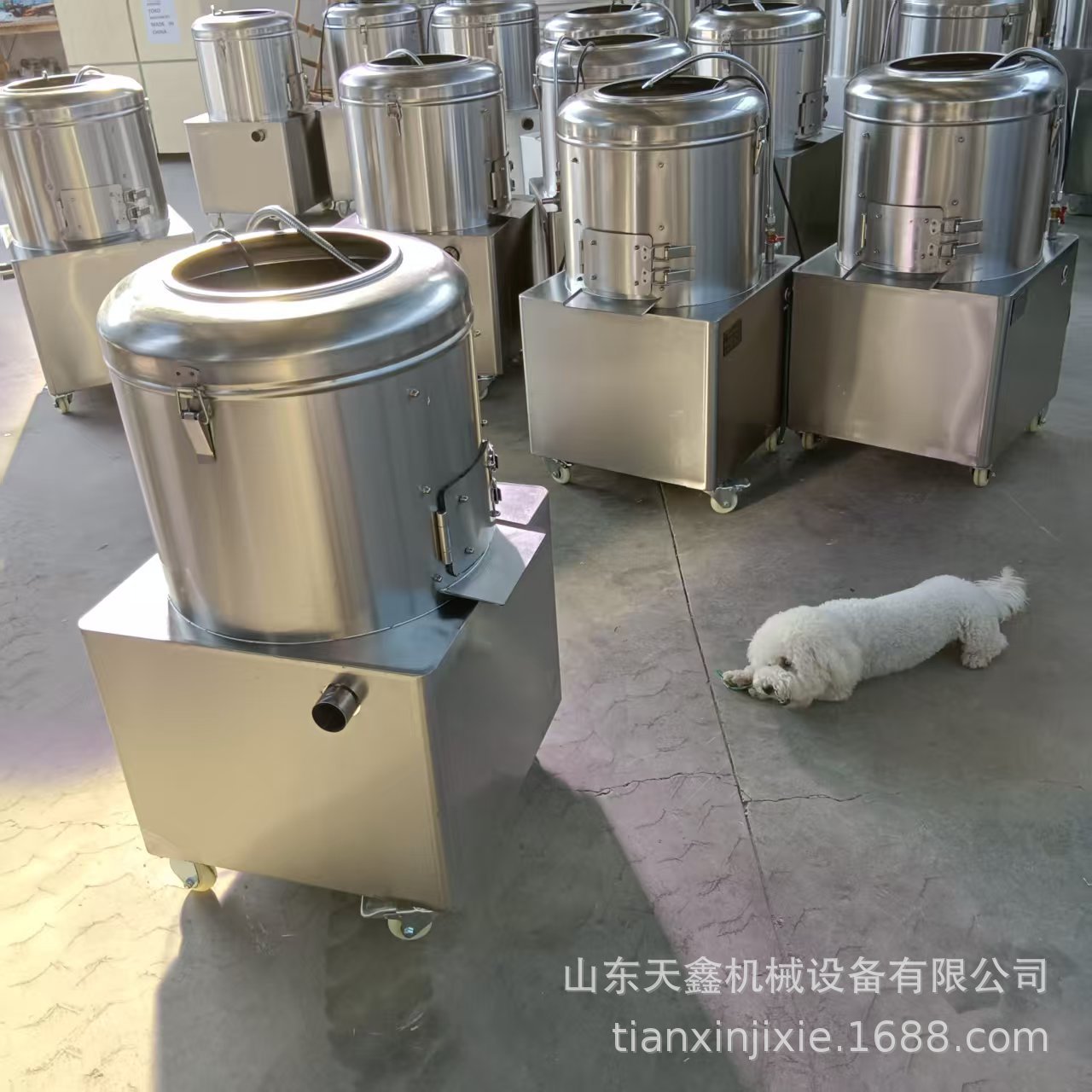土豆大蒜脱皮机芋头脱皮机洋葱脱皮机相山东脱皮机厂家