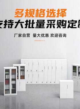 制文件柜办公室衣档案柜资钢柜料凭证柜收纳铁皮矮FT-35164柜带锁