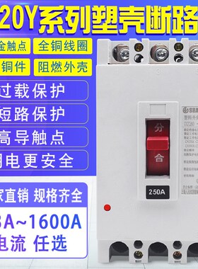 DZ20Y-100A 160A 225A 250A 400A 630A  空气开关塑壳断路器DZ20C