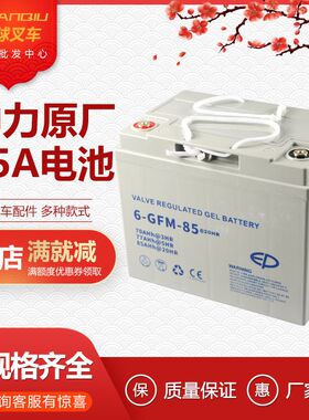 诺力中力叉车12v85A原厂蓄电池电动液压堆高机原装华富电瓶配件