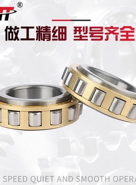 圆柱滚子轴承RN305 306 307 308 309 310 311 312 328M