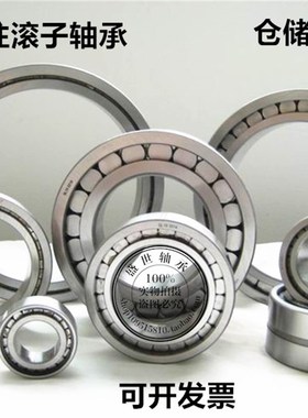 常州满装圆柱滚子轴承SL183020内径100外径140厚度37进口NCF3020V