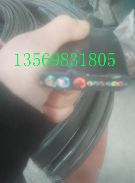 5T起重机钢丝绳电动葫芦扁电缆 3*4+7*1.5双钢丝扁电缆 行车9芯线