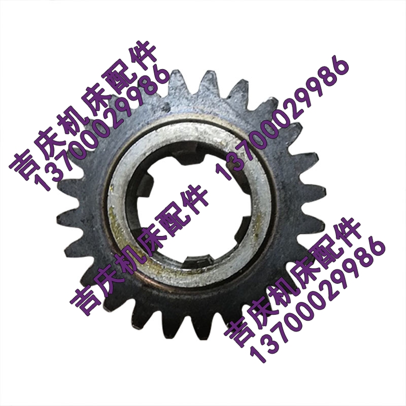 沈阳中捷镗床TPX6111B TPX619B 镗床配件 25347 磨齿齿轮Z24/M2.5