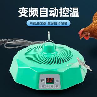 自控鸡温大DUS功率宠物保温灯温恒小小鸭养殖热风机芦丁动鸡取垒