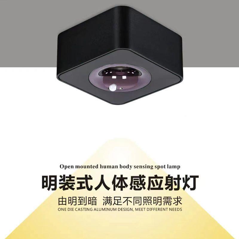 w%人WVS体感应灯吸顶式l玄e口d天花灯入门关感应过道灯人身体感户