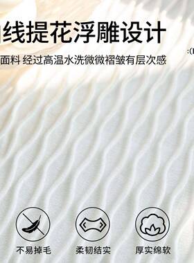 油法式奶风裙边沙巾IEO发2025新款四季通用一片式沙发套防罩滑坐