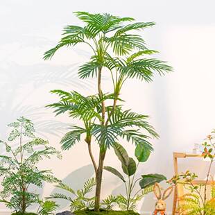 室内摆仿真绿植造景苔藓组合商场橱梯窗11818304假植装饰楼下景物