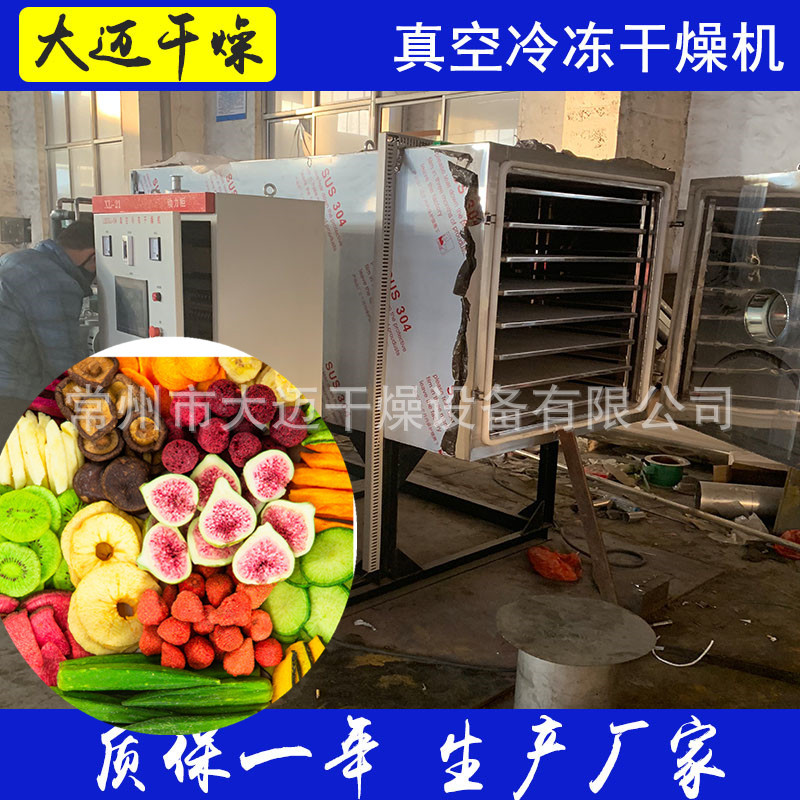 蔬菜冻干机 真空冻干设备 水果虫草冻干生产工艺流程