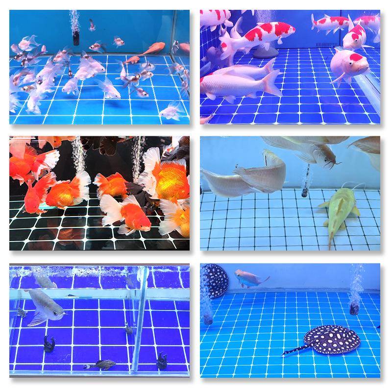 马赛克蓝色5公饰分鱼缸背景纸海鲜PGO池水族箱装不贴贴干胶纸