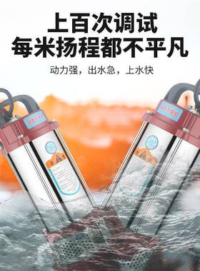 不锈NME钢潜水泵202v家用水型井水抽水泵农用灌小溉高扬程排污泵