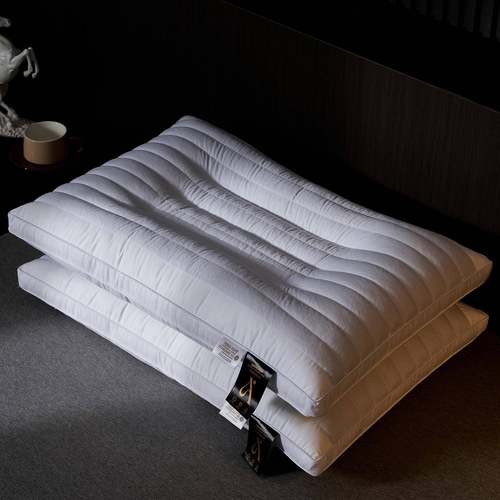 全棉决明子酒店枕头一对装OXS侧睡低枕软芯家宿用舍柔枕头不塌枕