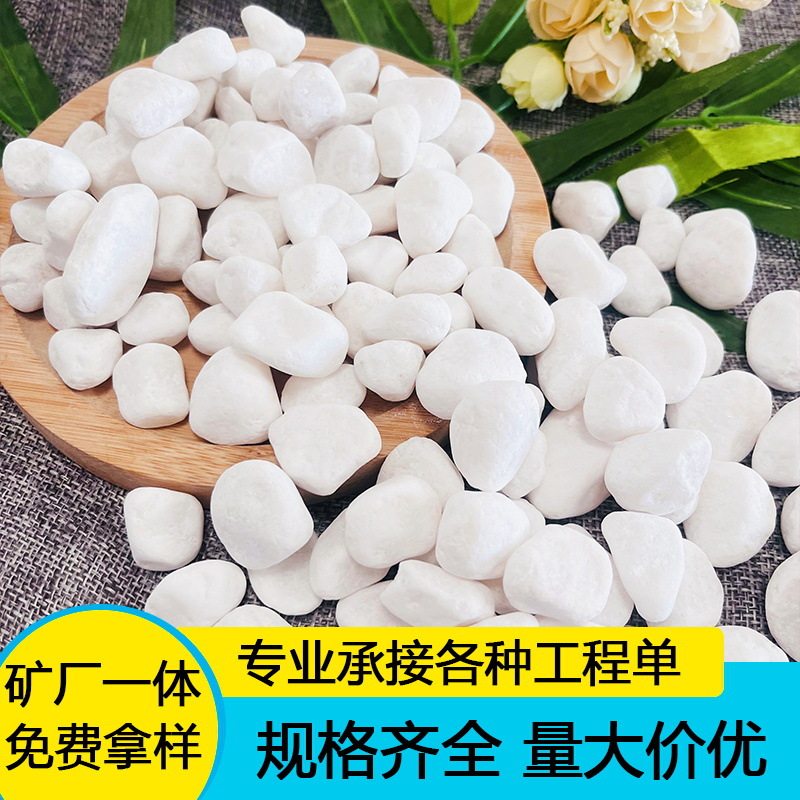 白色鹅卵石厂家园艺盆栽铺面小石头园林枯山水造景白色石子白石子