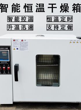 数显电热鼓风恒温干燥箱工业实验室热处理烘箱五谷杂粮烘干烤箱