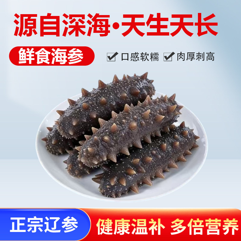 即食海参大连辽刺参高品质孕妇即食正品海参厂家直销营养滋补海参