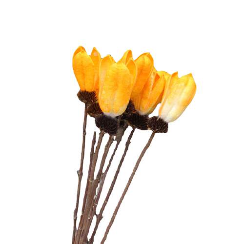郁金香干花插花摆件 干花真花拍摄道具 郁金香婚庆餐桌摆设软装