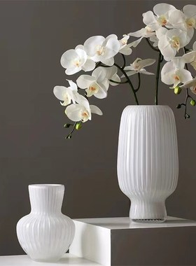 isn风花瓶玻璃花盆白色高级感轻奢水培养插花客厅桌面装饰摆件