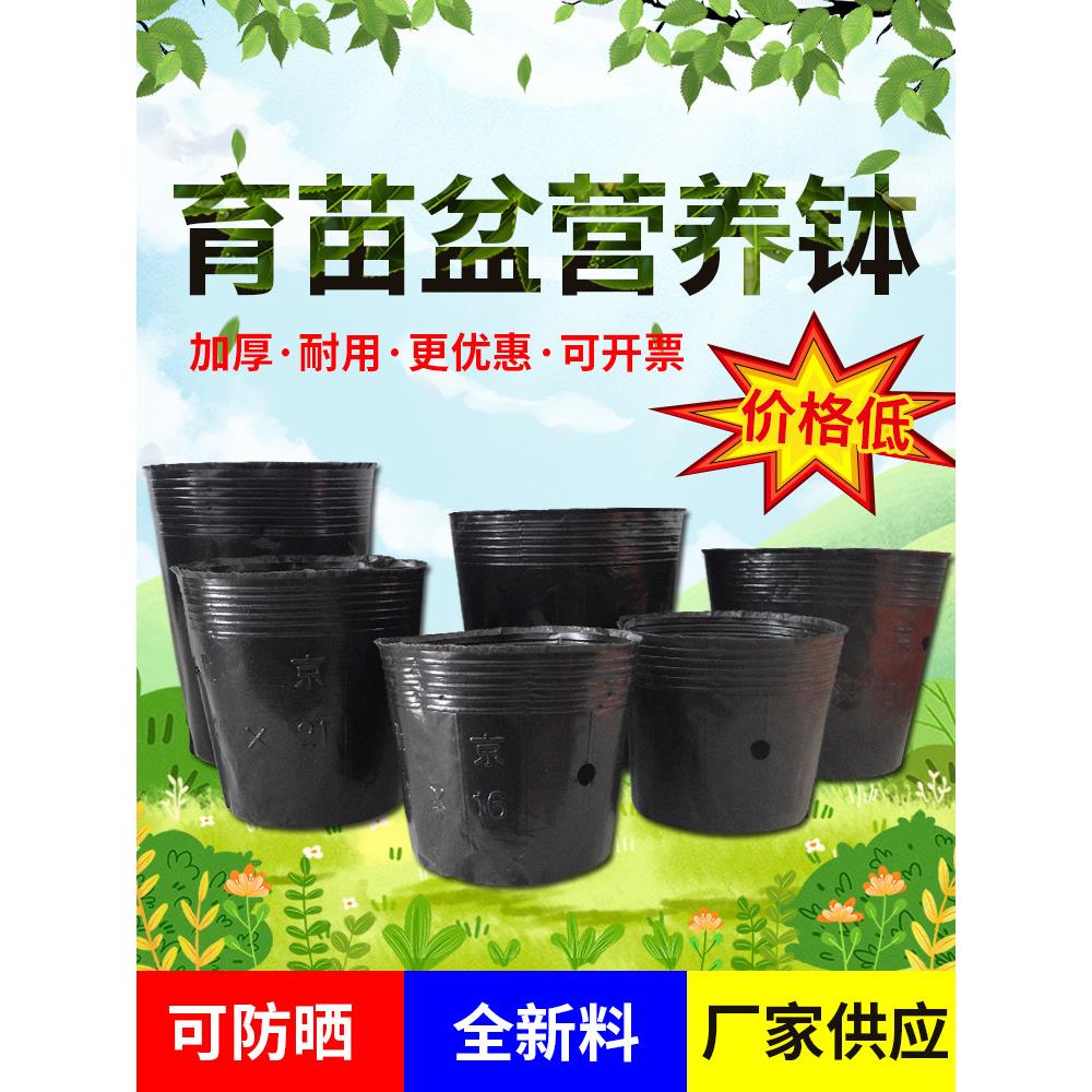 营养碗黑色营养杯塑料育苗杯一次性黑色碗多肉花盆加厚育苗袋育苗