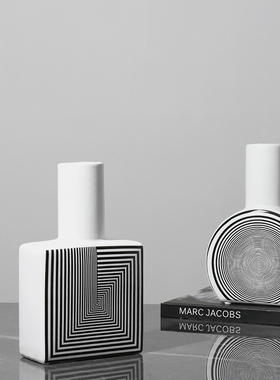 轻奢抽象几何条纹插花花器样板房间售楼处软装饰品Y玄关柜摆设