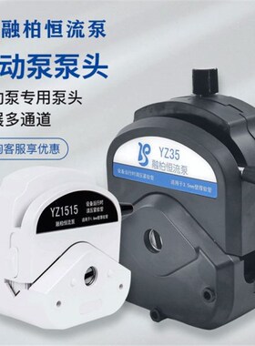 蠕动泵泵头YZ15 YZ25 KZ25 YZ35 DMD15 BZ15 BZ25 DG多通道系工厂