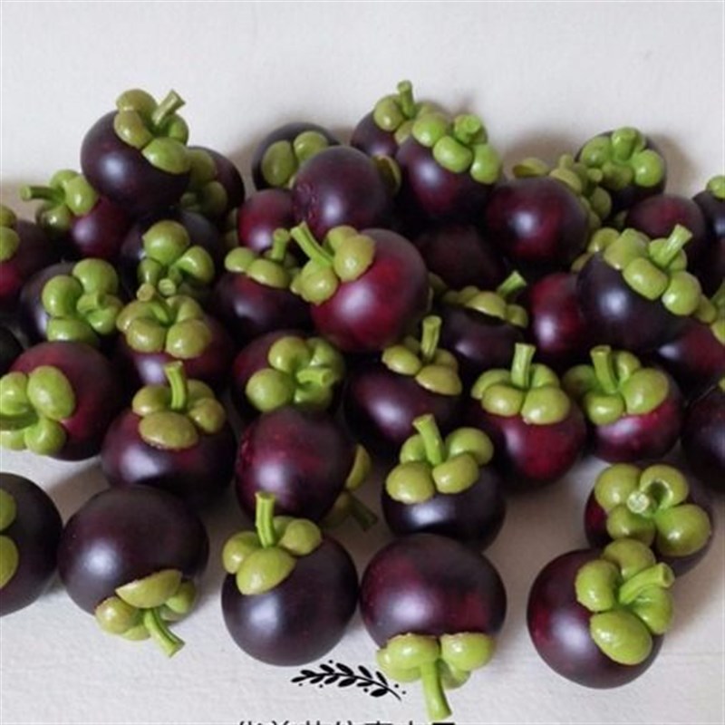 山竹模型 水果蔬菜模型 水果店假水果装饰品假山竹赵之周