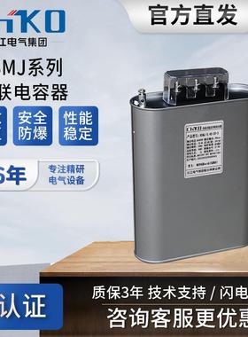 长电气BSM江J-0.容45三相自愈式并电力电器45联QVB0V低压无功补偿
