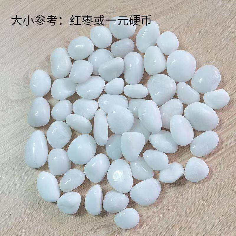 精庭抛白色鹅卵石头铺缸地VND雨花石原石外子天然鱼底部户院小石