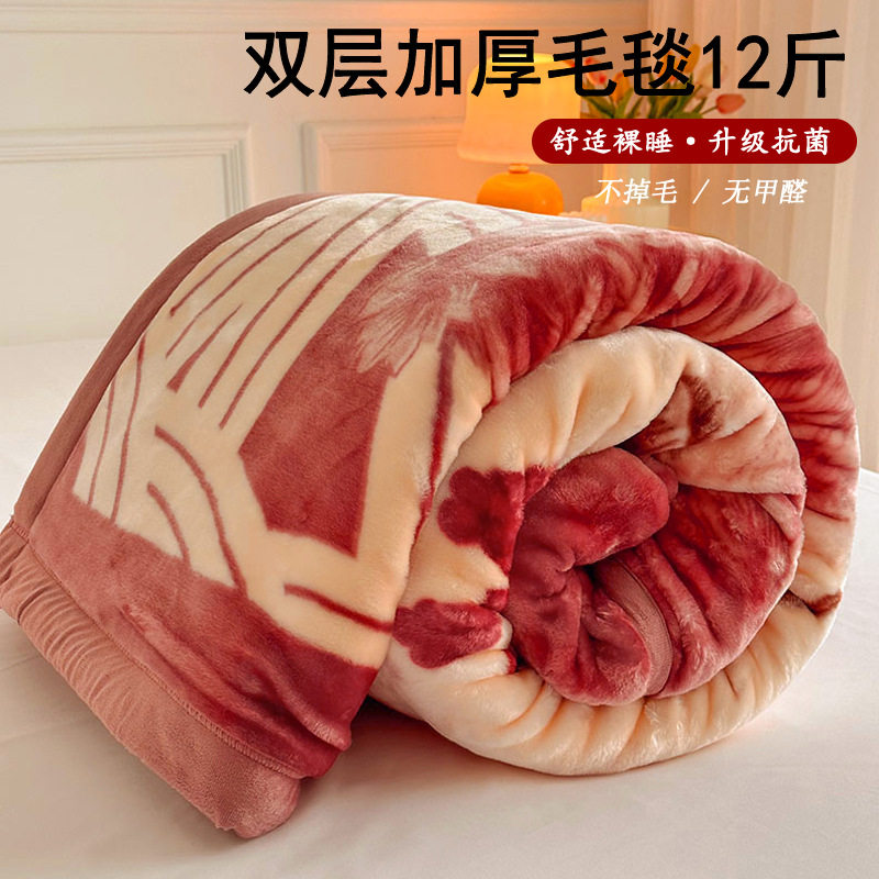 双层加厚拉舍尔毛毯被子冬季盖毯广东省被珊瑚绒毯子12斤绒毯铺床