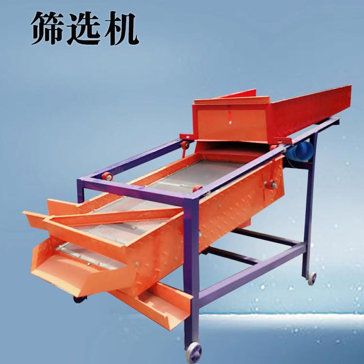 瓜尘式筛选机油菜子籽谷选子黄豆清机辣DS-800/8木除籽除尘筛杂机