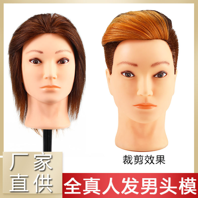 男士全真发短发烫染练习头模