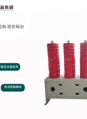 户2外电容器组真投空切开关1kV/0电容器组04630A高压永磁真空接触