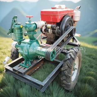 移动式 34寸寸柴抽油机水泵压心井离AXE泵配件倒水泵