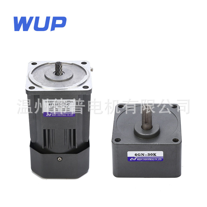 伟普微型定速减速电机220V