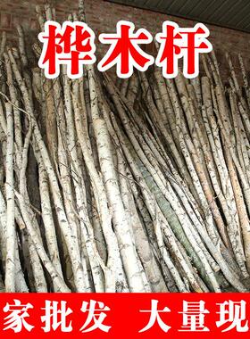 桦木树杆包邮桦木杆子天然白桦树装饰原木材婚庆橱窗隔断造景枯木