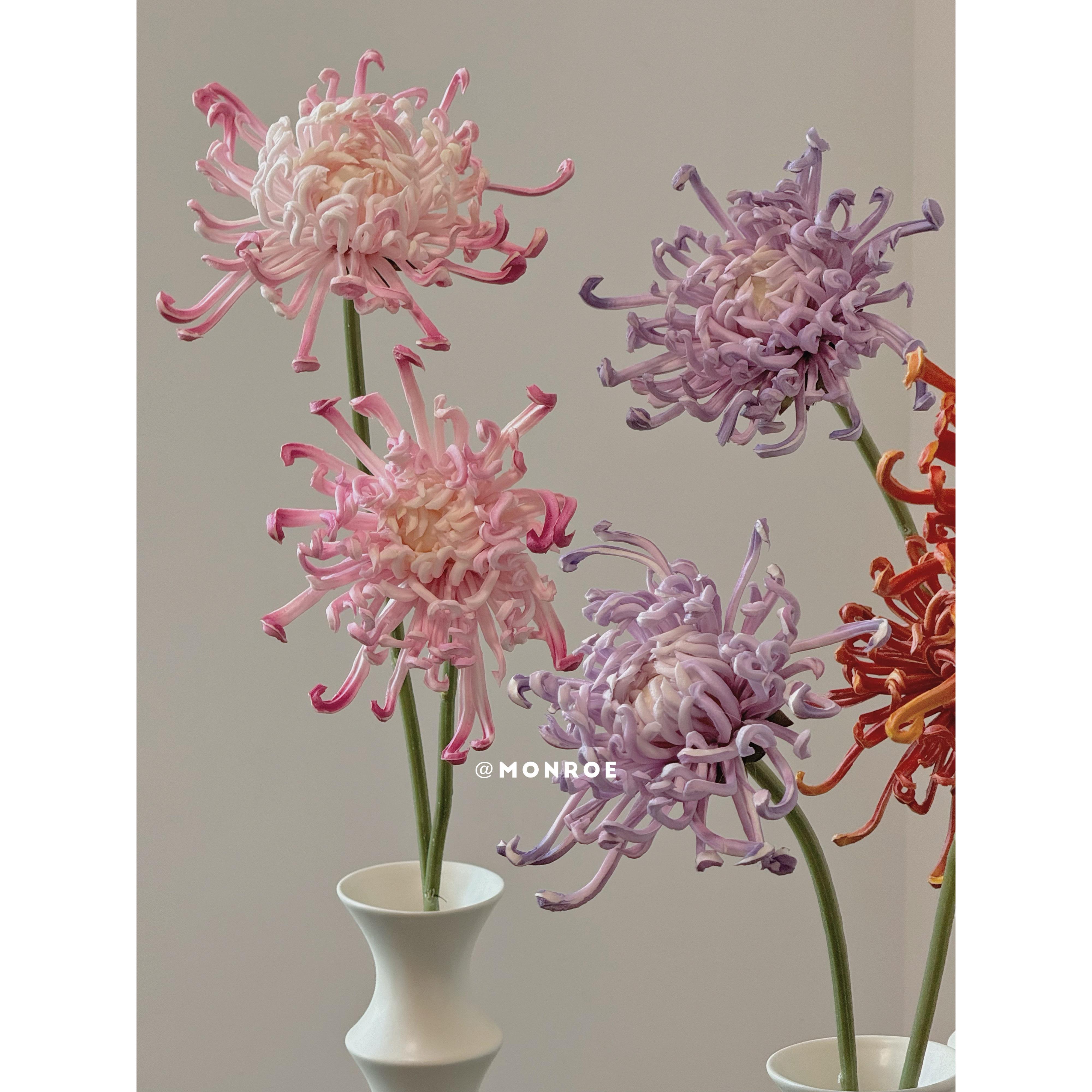大丽花·梦鹿彷真花 浅粉色浅紫色大丽花客厅卧室桌面插花装饰品