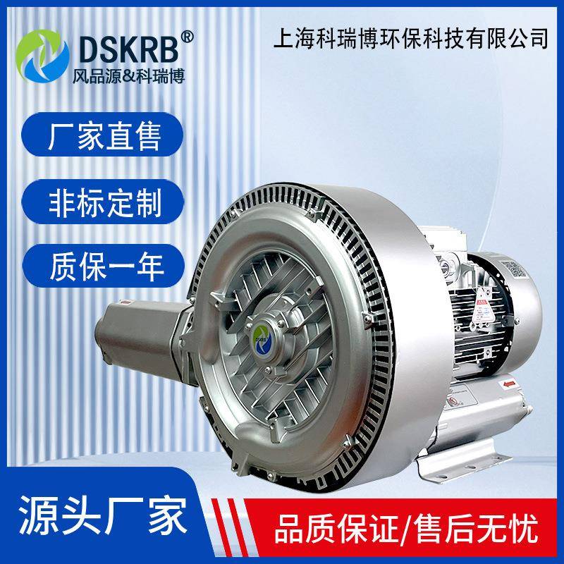 2REWJ420H36耐高旋涡温气泵B风机旋涡式鼓风机高压鼓风机