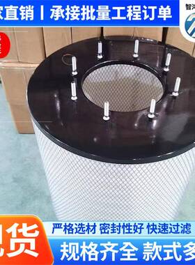 活性炭滤气滤芯工业异味甲醛过滤器25911空0自0洁式材空气LNM滤芯