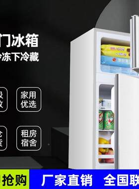 省50-17升小冰箱家用小型租房2冰上冷冻下冷藏宿舍IHA迷你双门电