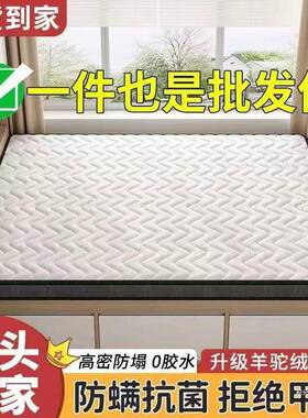 榻榻床垫尺垫寸乳胶椰棕塌米垫子IQS软垫塌家用卧室床工厂货米源