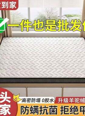 榻榻床垫尺垫寸乳胶椰棕塌米垫子IQS软垫塌家用卧室床工厂货米源