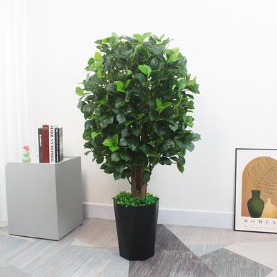 植新仿真山茶树球形绿盆装栽室景内外饰摆件园林观布置绿植仿SMG