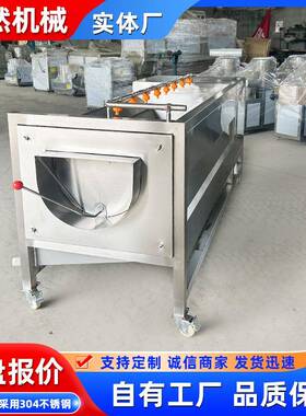 家常年毛零刷KLI红薯清洗机海产品清洗售设备不锈钢厂材质