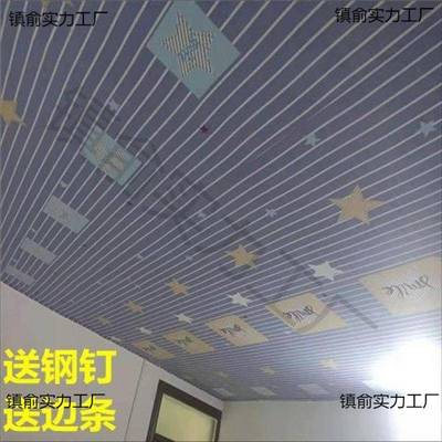 顶塑料布屋顶装饰布村瓦房易天花板iBpX2ASp遮挡布室吊内防简尘卧