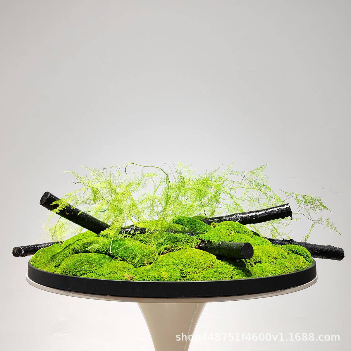 新中式生苔藓绿植永店FJV大圆桌物餐桌植装饰品仿真文竹洽谈桌摆