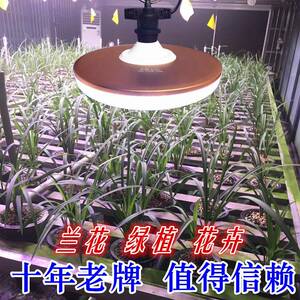 50光植W全光谱兰花补兰草物光灯/FDR绿植花卉生长灯大棚补灯